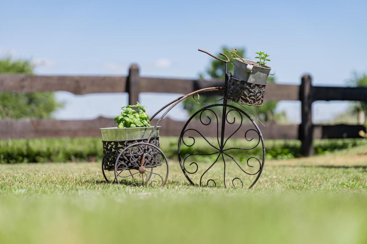 Gite Haven Maissin Екстериор снимка